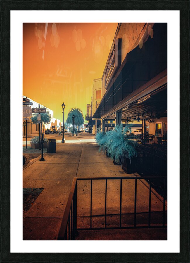 Urban Oasis: Ocala Florida Picture Frame print