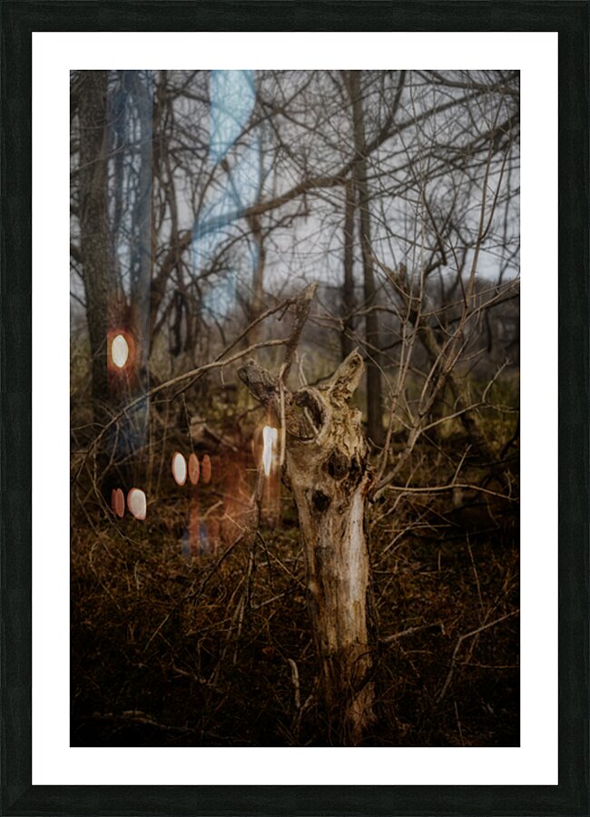 Natures Twisted Remnant Picture Frame print