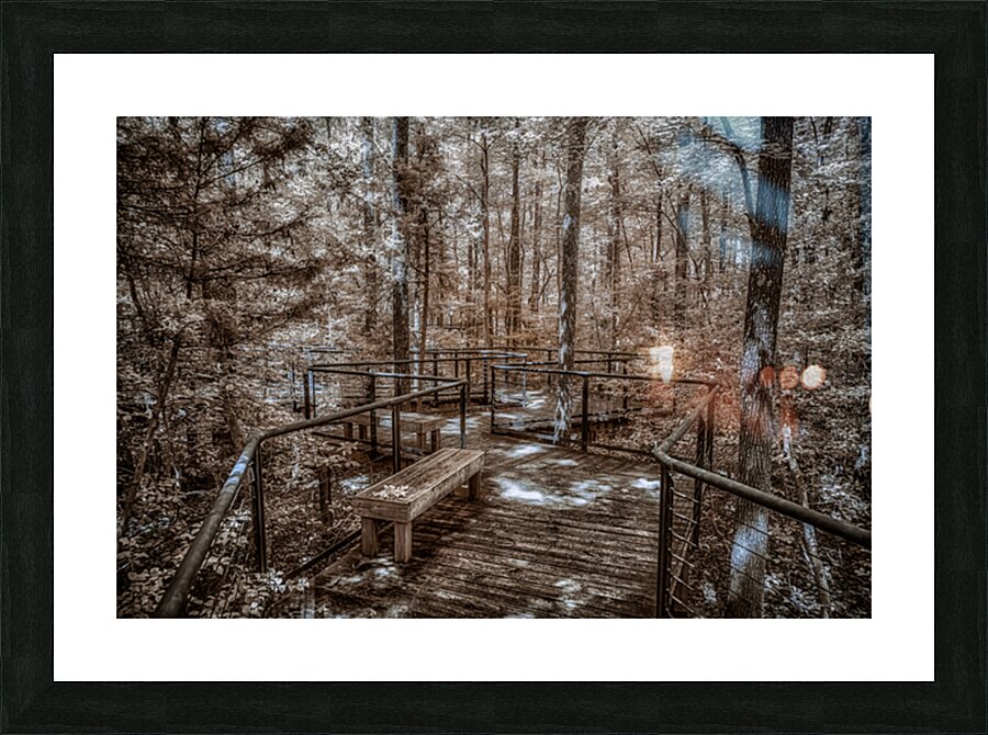 Angled Walkway Picture Frame print