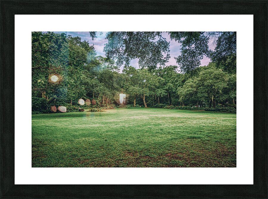 Royal Lawn Picture Frame print