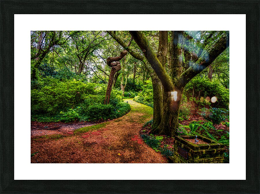 Exploring the Enchantment: A Journey through Elizabethan Gardens in Manteo North Carolina Picture Frame print