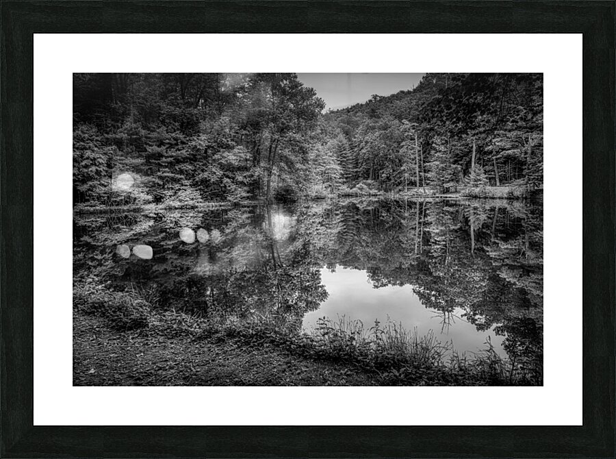 Natures Perfect Mirror Picture Frame print