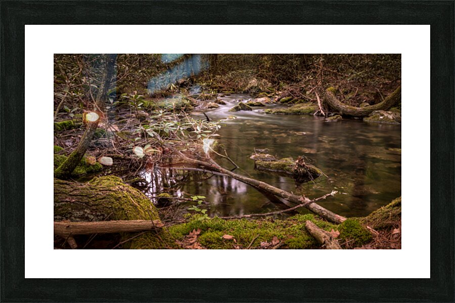 Natures Gentle Arc Impression et Cadre photo