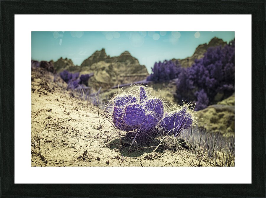 Deserts Purple Heart Picture Frame print