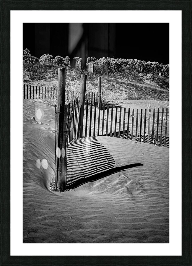 Fence Curve Picture Frame print