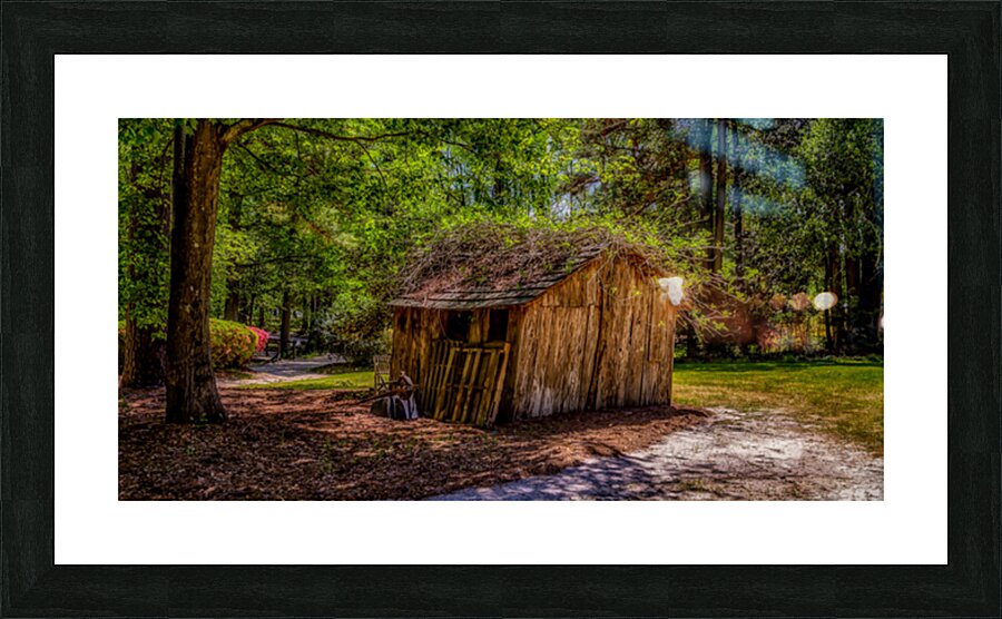Whispers of Time: An Colorful Enchanted Shack at Swan Lake & Iris Garden Picture Frame print