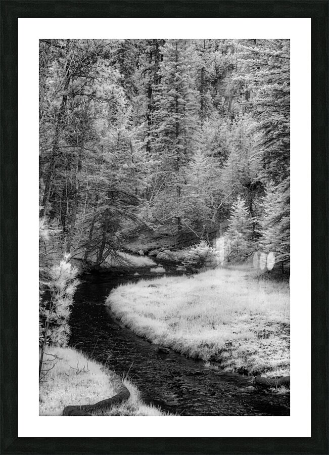 Infrared Oasis: Grace Coolidge Creek  Framed Print Print