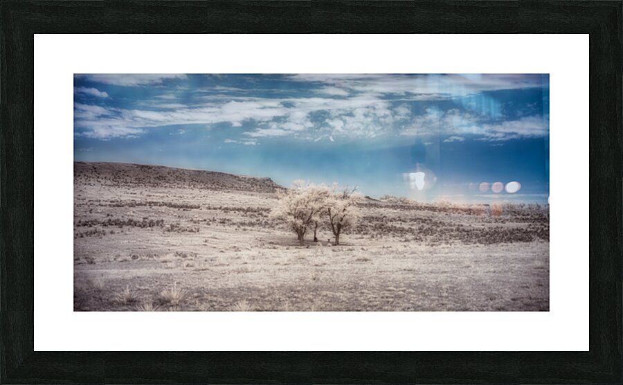 A Rainy Night Turns Bright: Exploring Shamrock Texas Ranch Picture Frame print