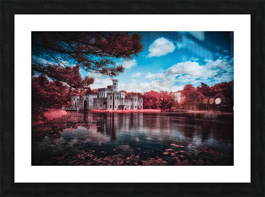 Newmans Castle: A Texan Tale in Infrared Bloom  Framed Print Print