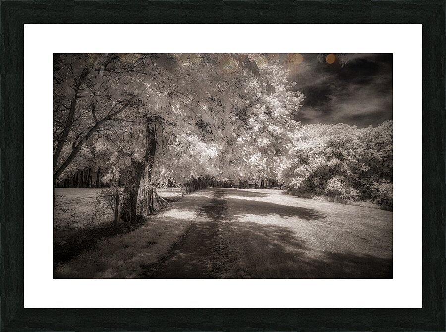 Invisible Texas Trail Picture Frame print