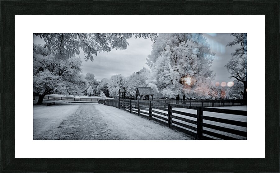 Whispers of Time: A Weathered Road Along Appomattox Courthouse Towns Fences Picture Frame print
