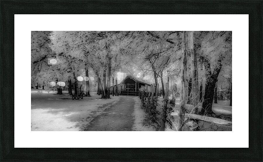 Barn Path  Framed Print Print