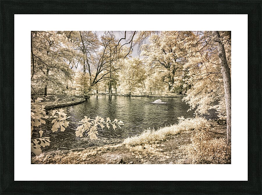 Lake Edge and Overhanging Branches: Sam Houston Site  Framed Print Print