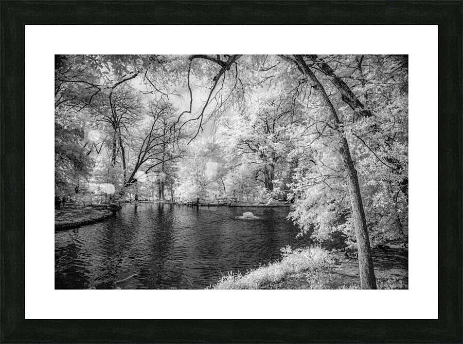 Sam Houstons Oasis Picture Frame print