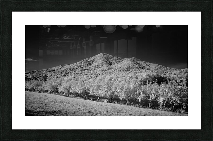 Peaks of Otter - 2 Picture Frame print