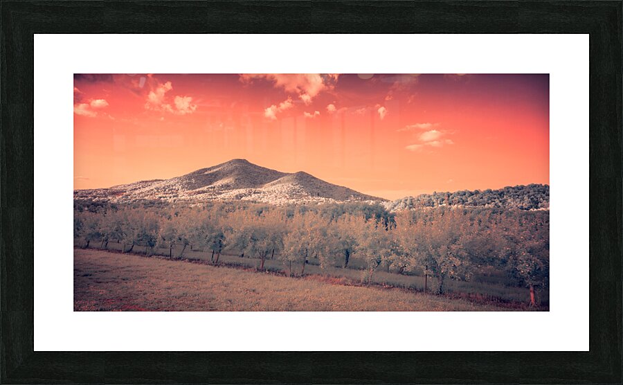 Orange Mountain Shine  Framed Print Print