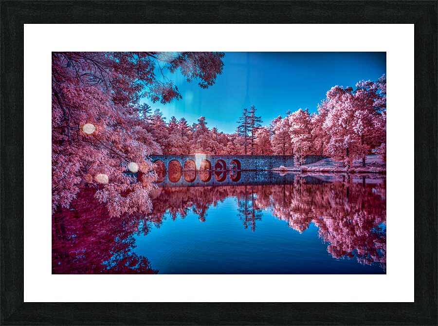 Infrared Oasis: Pink Arches  Framed Print Print
