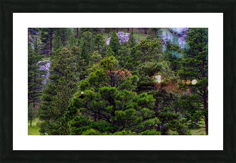 Old Baldy Picture Frame print