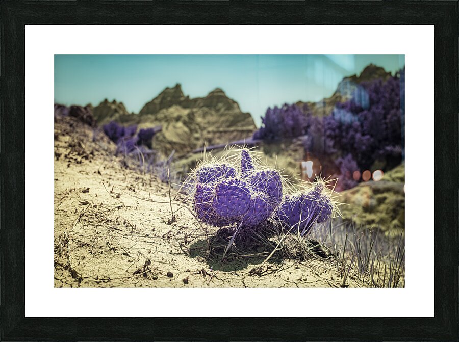 SD Purple Cactus Picture Frame print