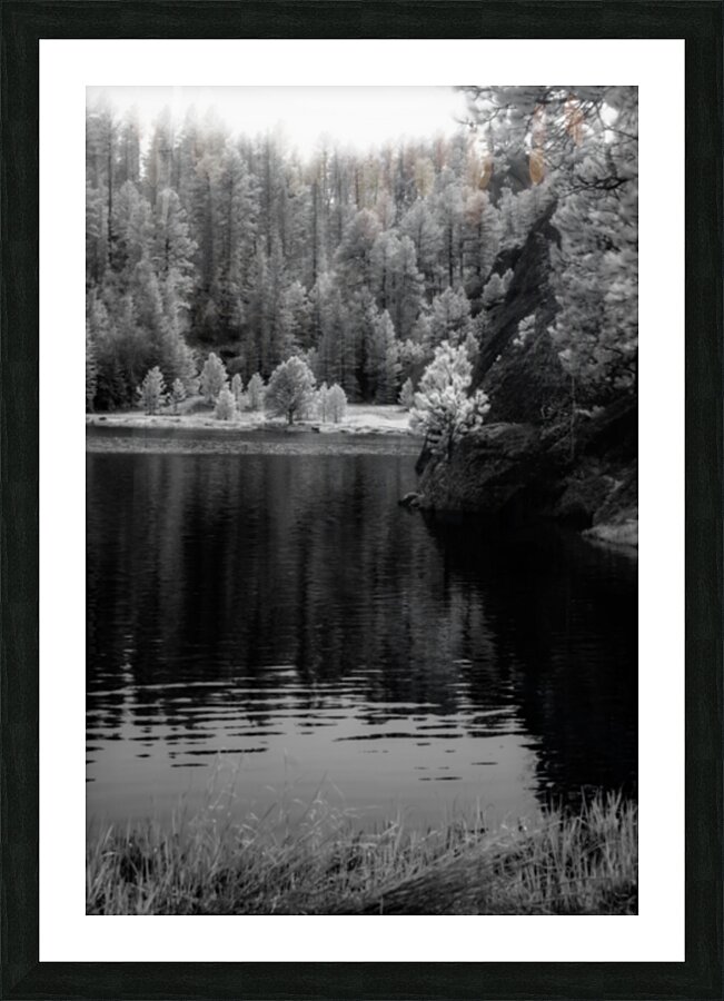 Enchanting Haze: Hazy Pines in Infrared at Sylvan Lake South Dakota Picture Frame print