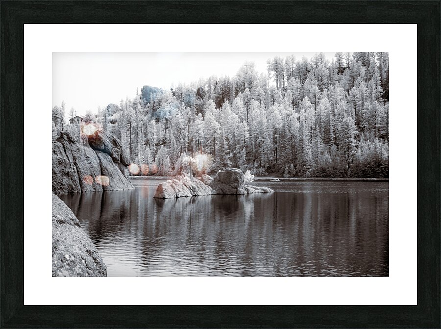 Majestic Pine Island: Capturing Sylvan Lakes Beauty Picture Frame print