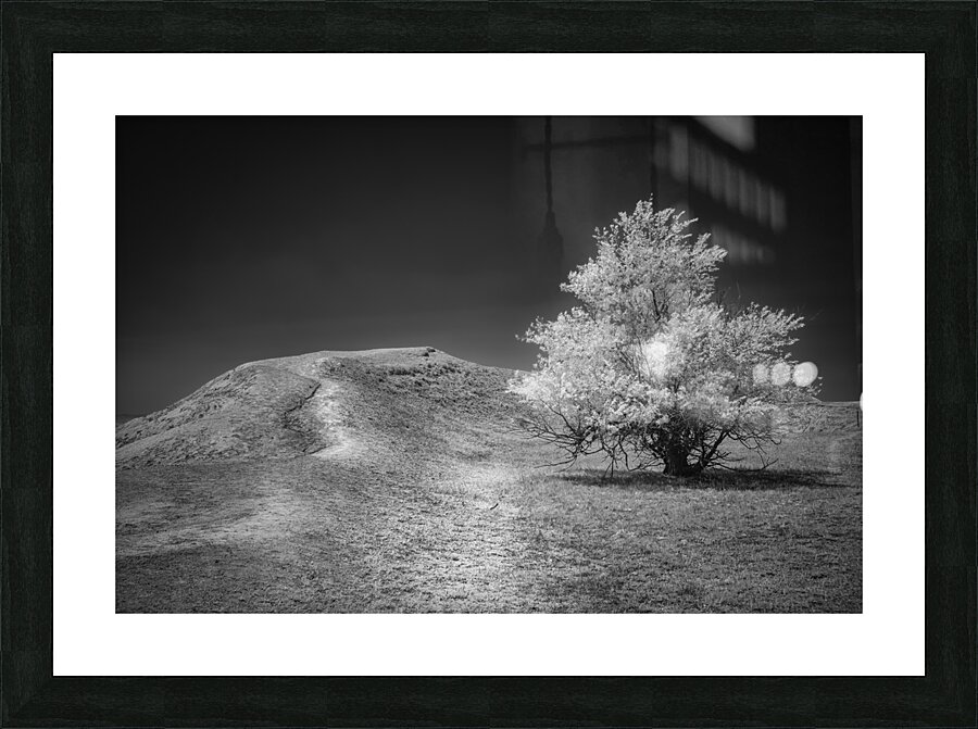 Silent Beauty: Navigating the Badlands Impression et Cadre photo