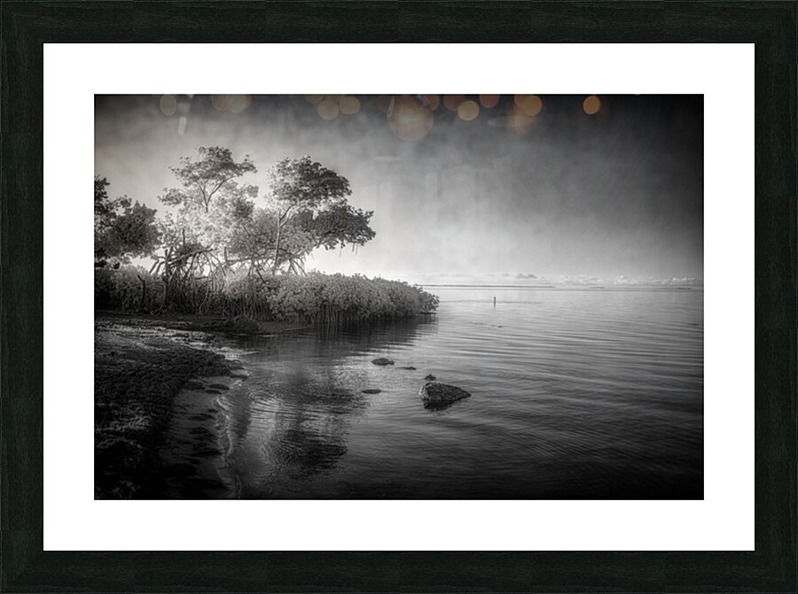 Tranquil Tides Picture Frame print