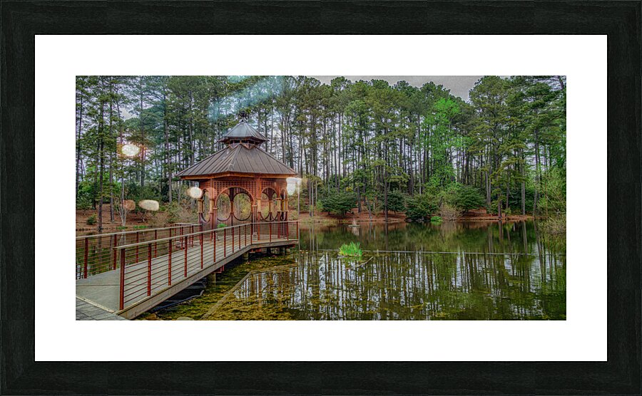 Pond Gazebo in Color Picture Frame print