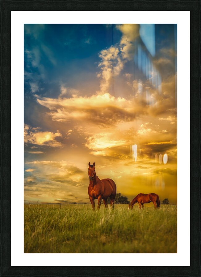 We Call Him Ernie: A Montana Ranch Tale  Framed Print Print