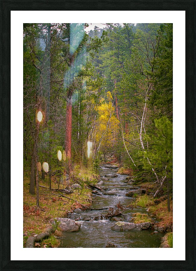 Autumnal Glow: Exploring Grace Coolidge Creeks Vibrant Palette   Framed Print Print