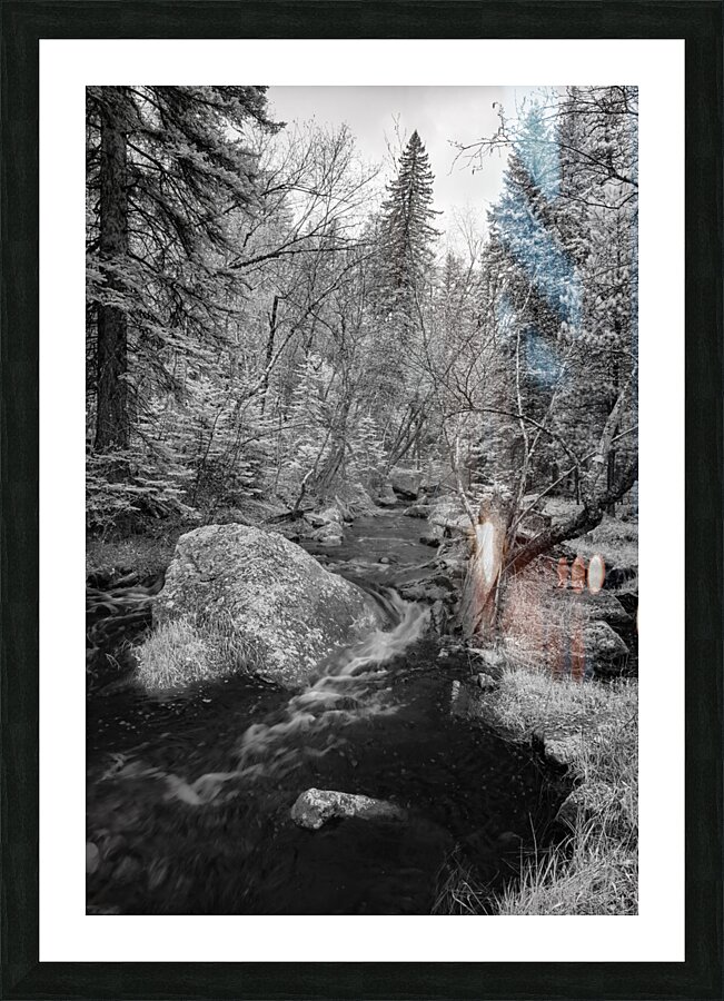 Monochromatic Serenity: Exploring Grace Coolidge Creek in Custer - Tall  Framed Print Print
