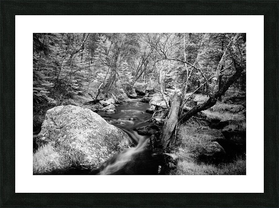 Monochromatic Serenity: Exploring Grace Coolidge Creek in Custer  Framed Print Print
