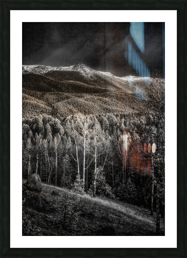 Mueller Aspen Series: Hillside Tranquility  Framed Print Print