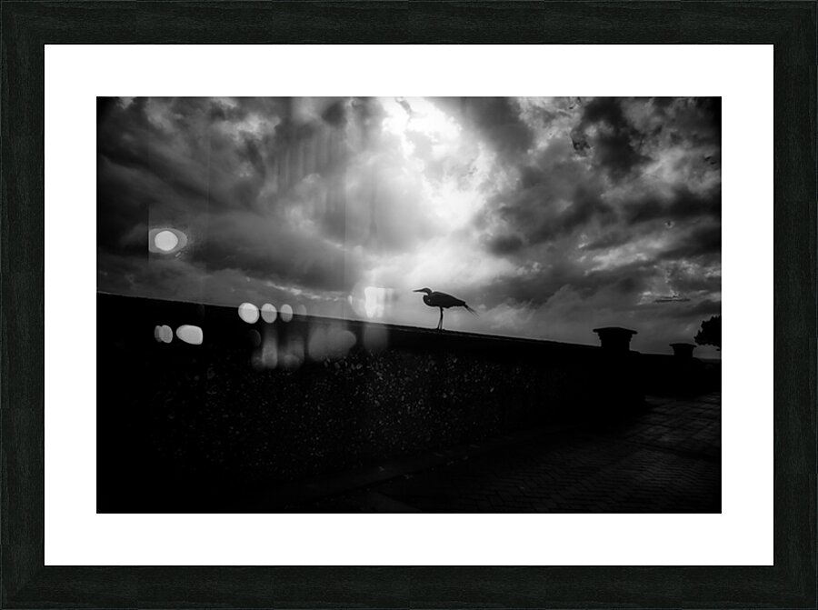 Rainy Day Stroll: Capturing Serenity with a Silhouetted Bird Picture Frame print