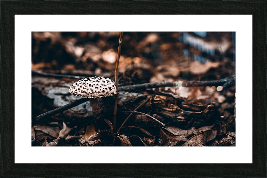 Mystical Fungi: Enchanted Dots The Speckled Shroom Picture Frame print
