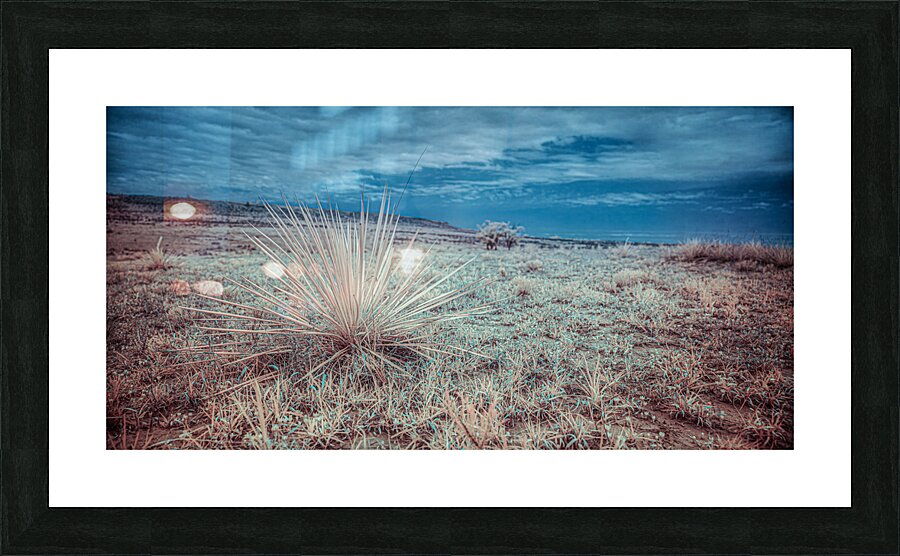 Lone Star Grass in Shamrock  Framed Print Print
