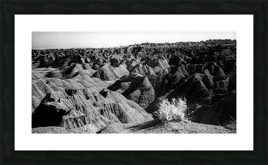 Shadows of the Earth: Tuft on the Edge  Framed Print Print