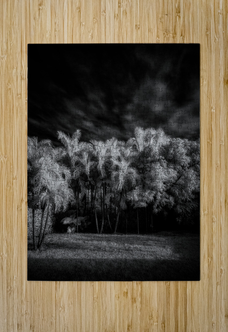 Twilight Shadows of a Palm Grove Dream World Images Puzzle printing