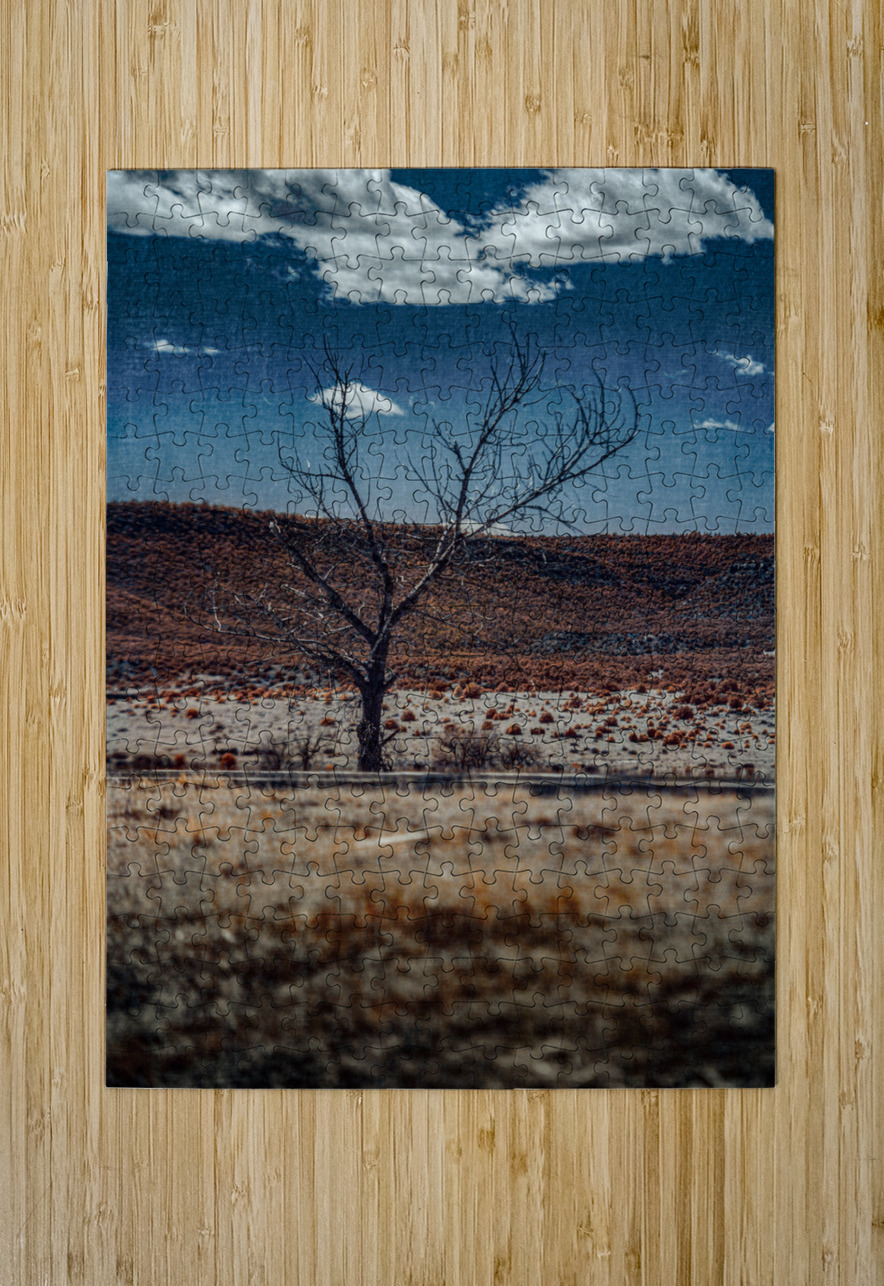 Stoic Silhouette in a Desolate Expanse Dream World Images Puzzle printing