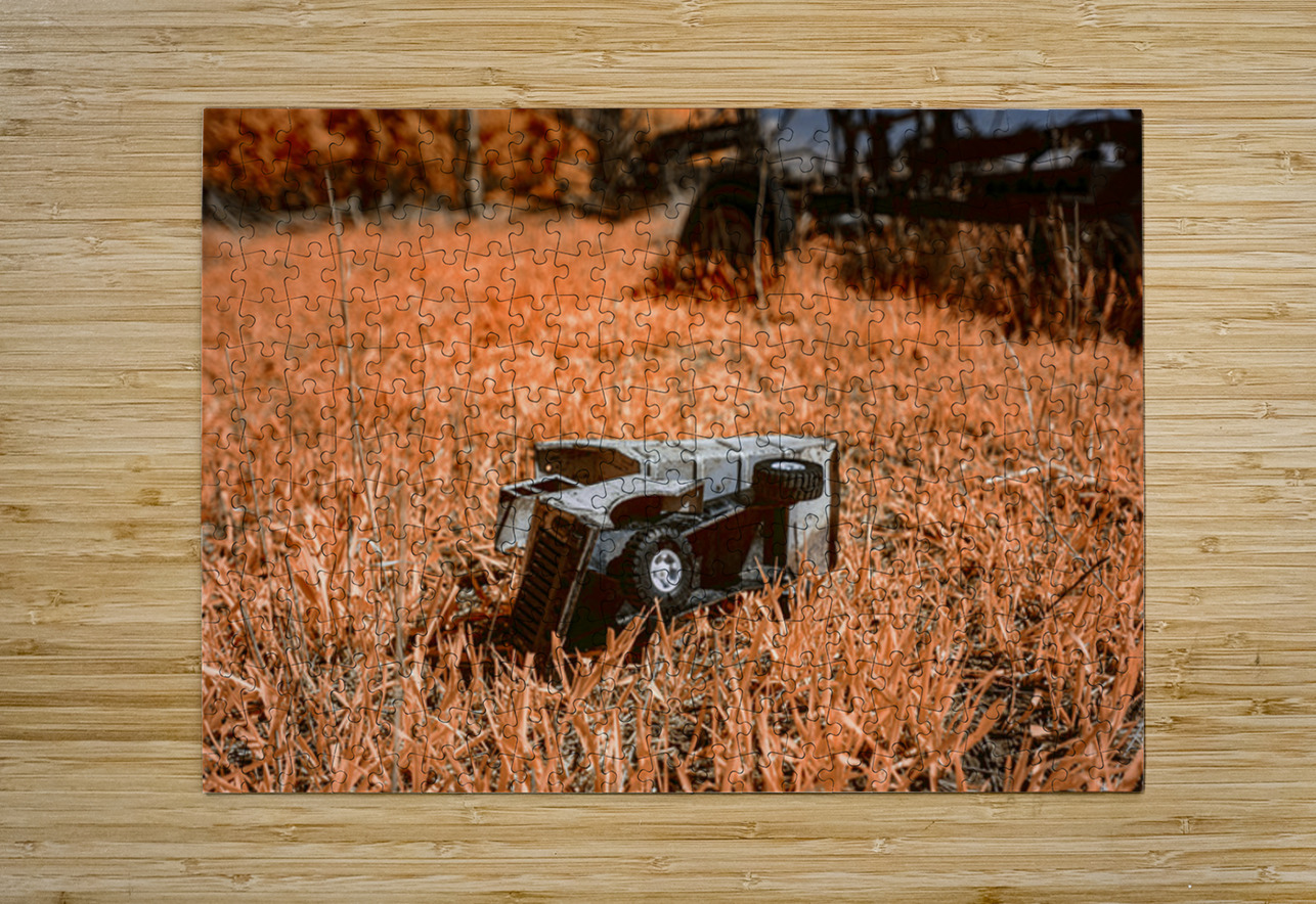 Rustic Relic   Tonka Dream Dream World Images Puzzle printing