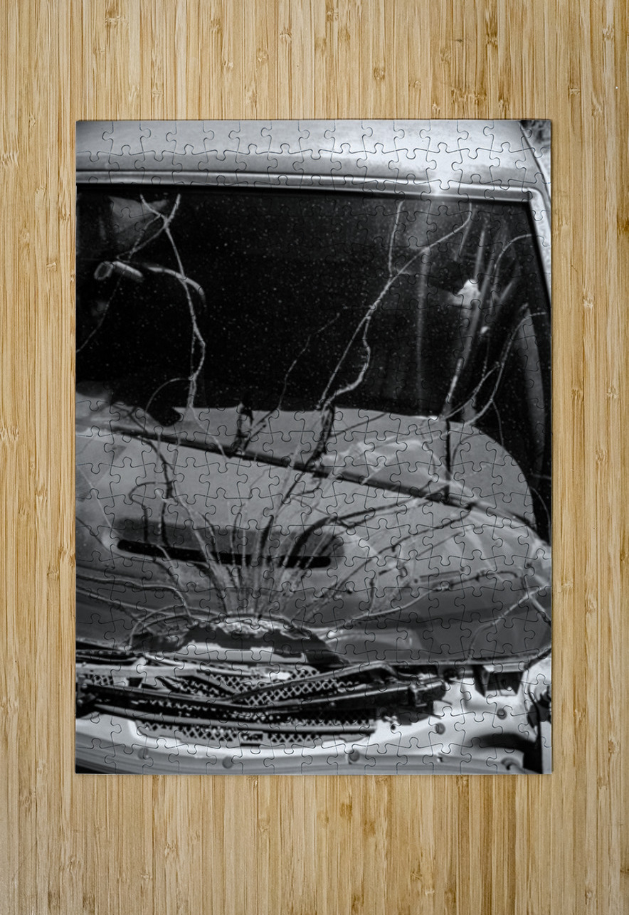 Rustic Relic   Cracked Vision Dream World Images Puzzle printing