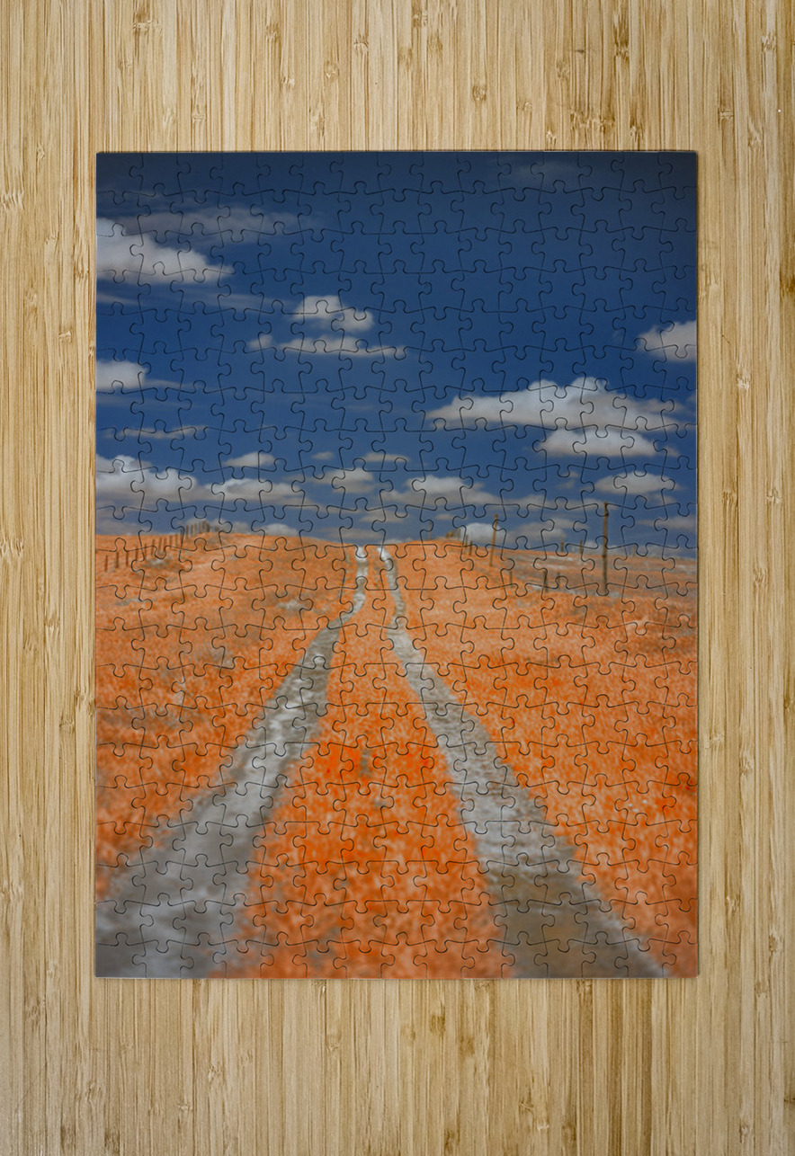 Copper Prairie Path Dream World Images Puzzle printing