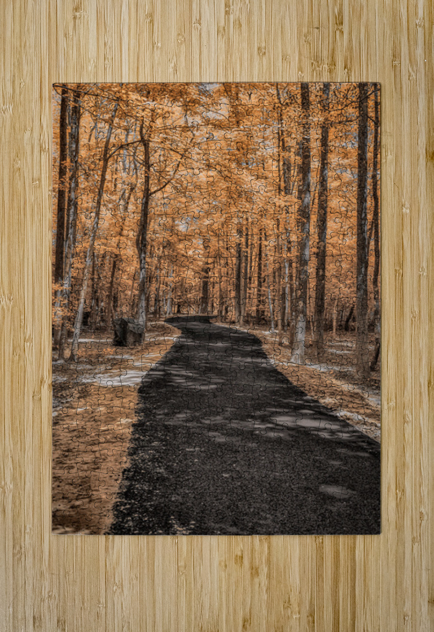 Golden Path Dream World Images Puzzle printing