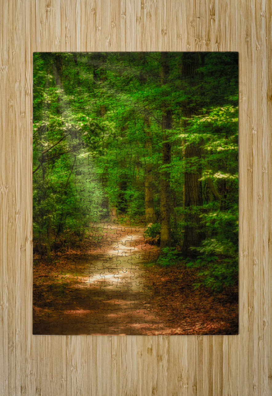 Solitary Trails: Rays on a Path at Killens Pond State Park Dream World Images Puzzle printing