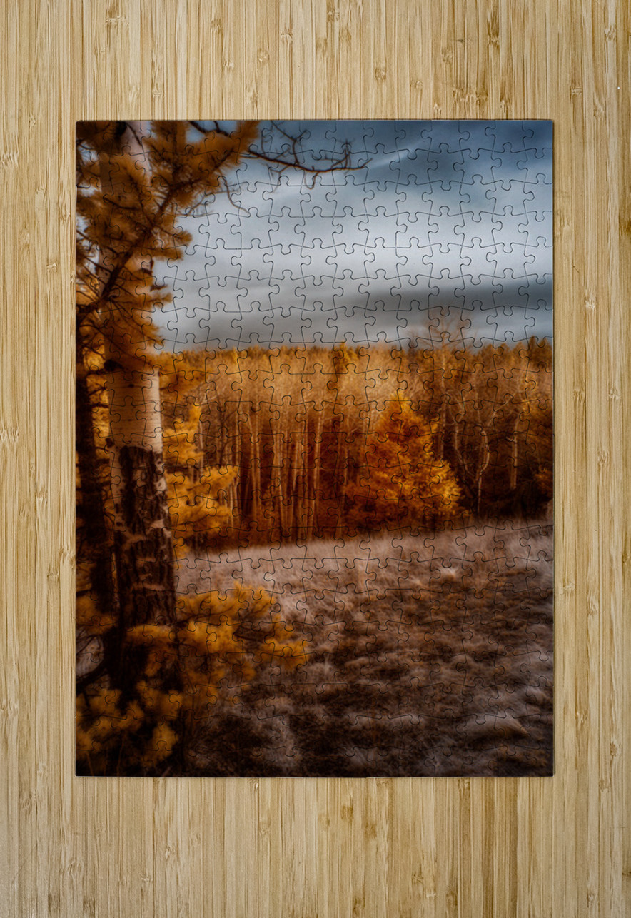 Mueller Aspen Series: Dream World Images Puzzle printing