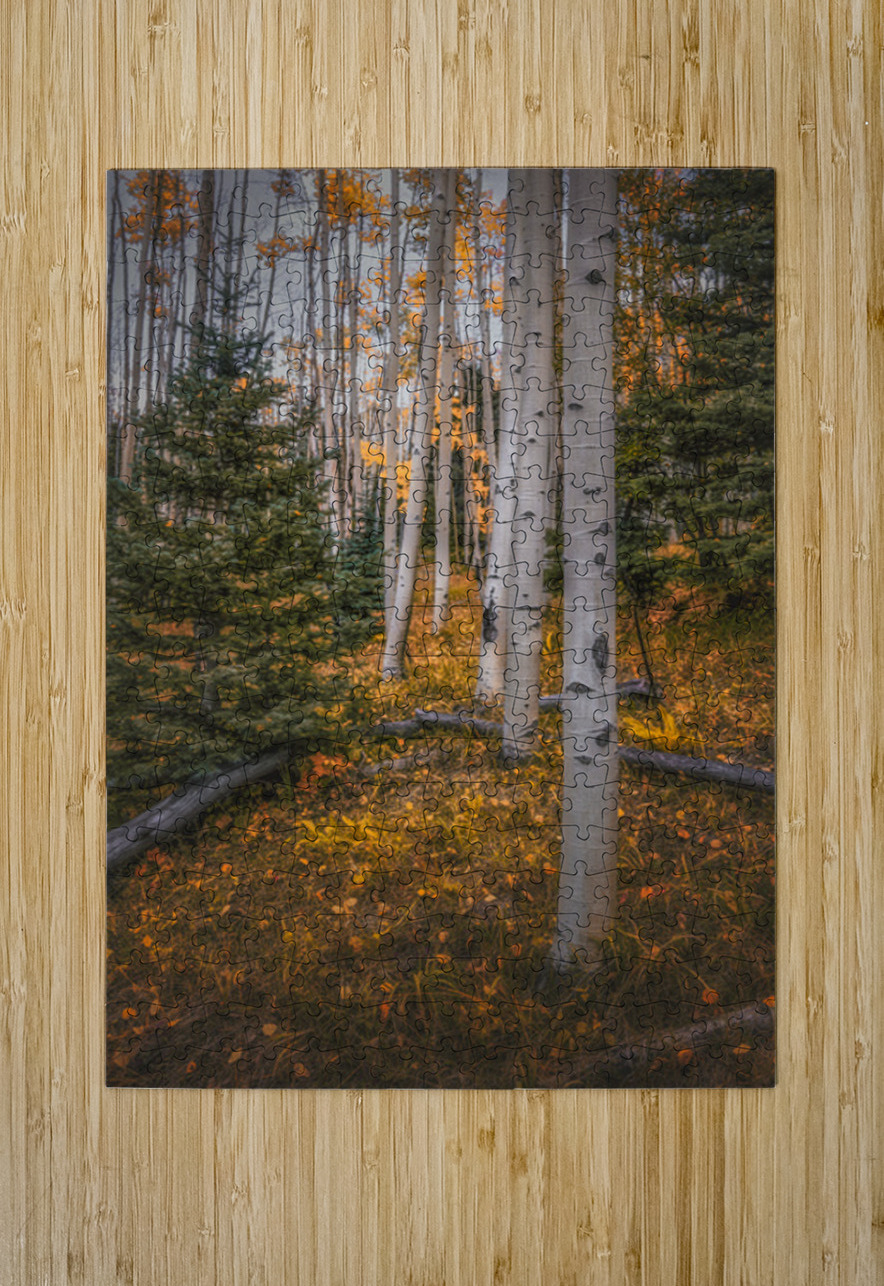 Eternal transition of the forest Dream World Images Puzzle printing