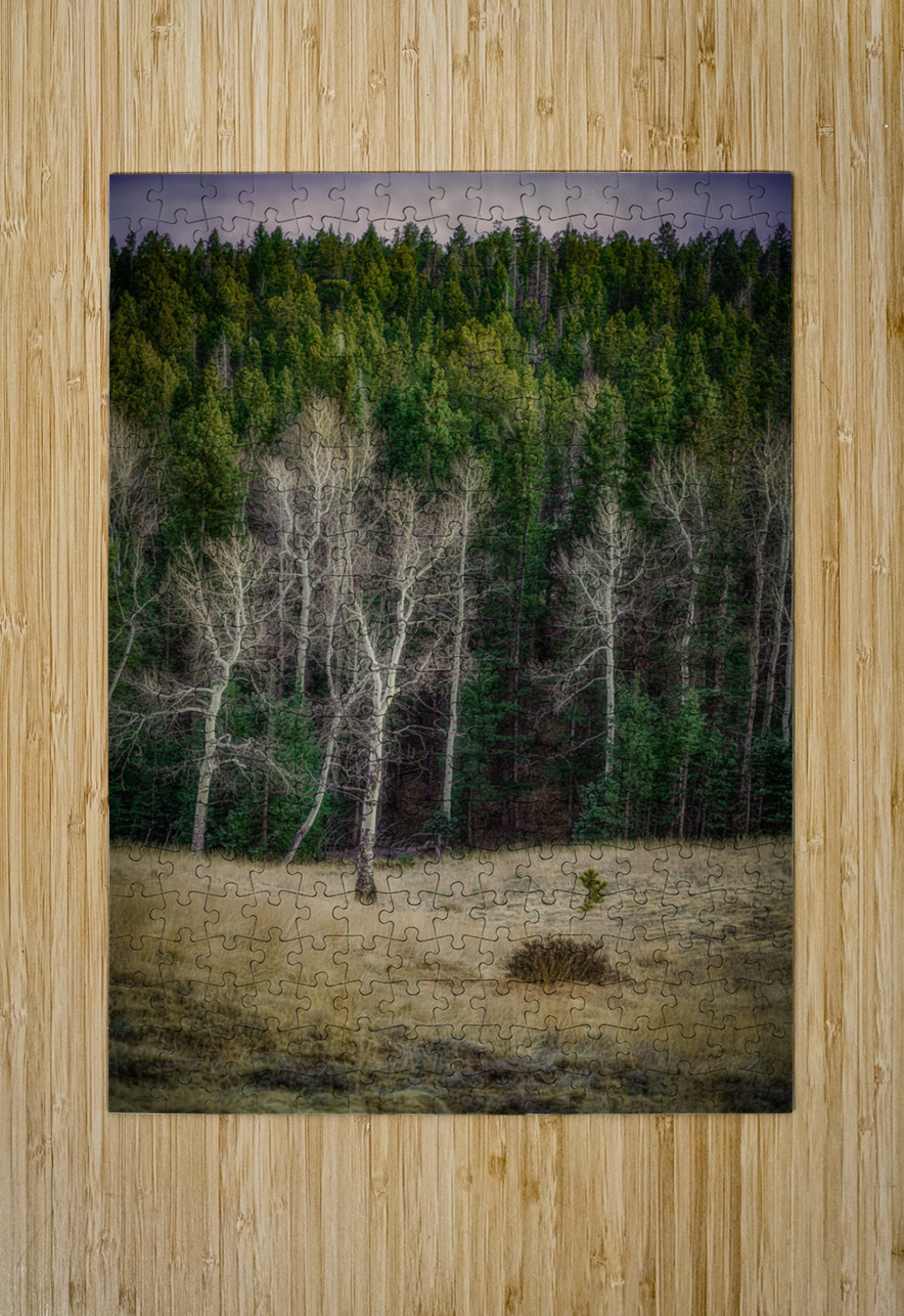 Mueller Aspen Series: Twilight Whispers Dream World Images Puzzle printing