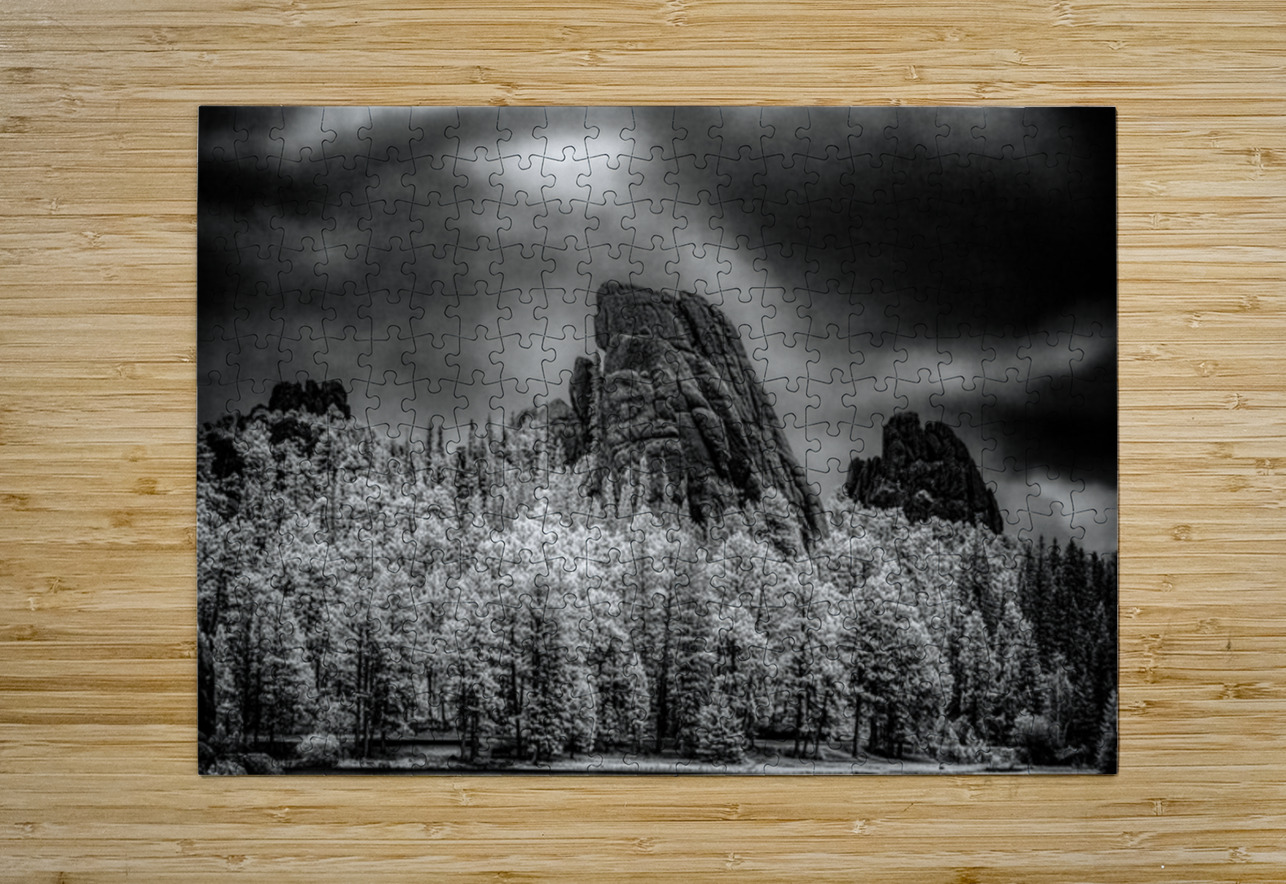 Sylvan Shadows: A Moody Encounter with Natures Drama in Custer  Dream World Images Puzzle printing