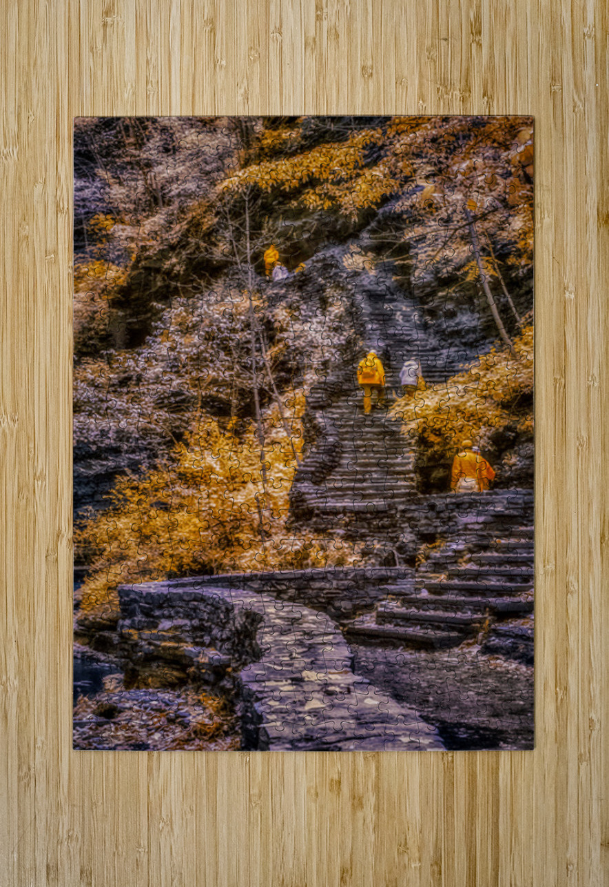 Golden Steps Ascent: A Color Infrared Symphony in Watkins Glen Dream World Images Puzzle printing