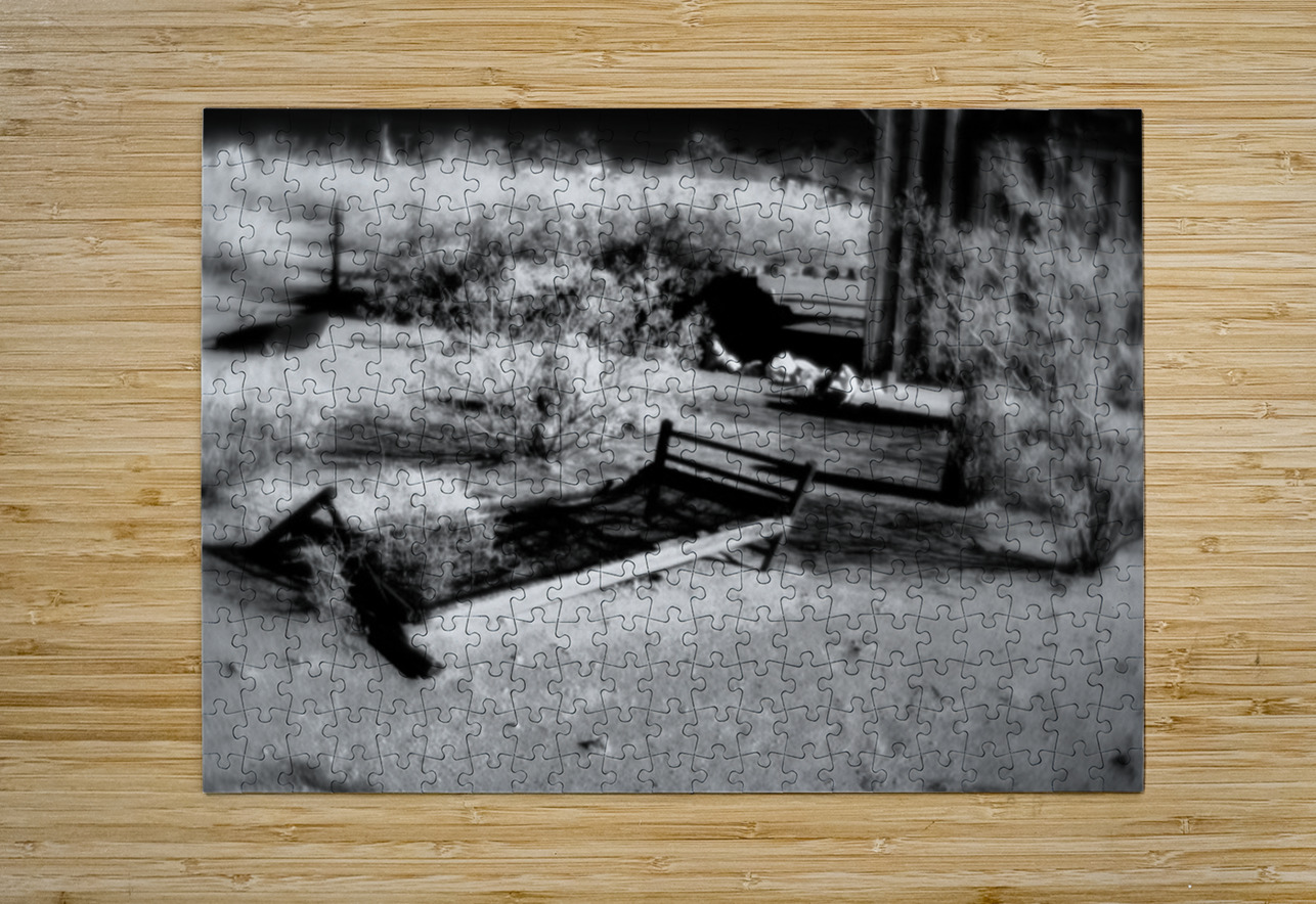 Forgotten Frame in a Sea of Thorn Dream World Images Puzzle printing